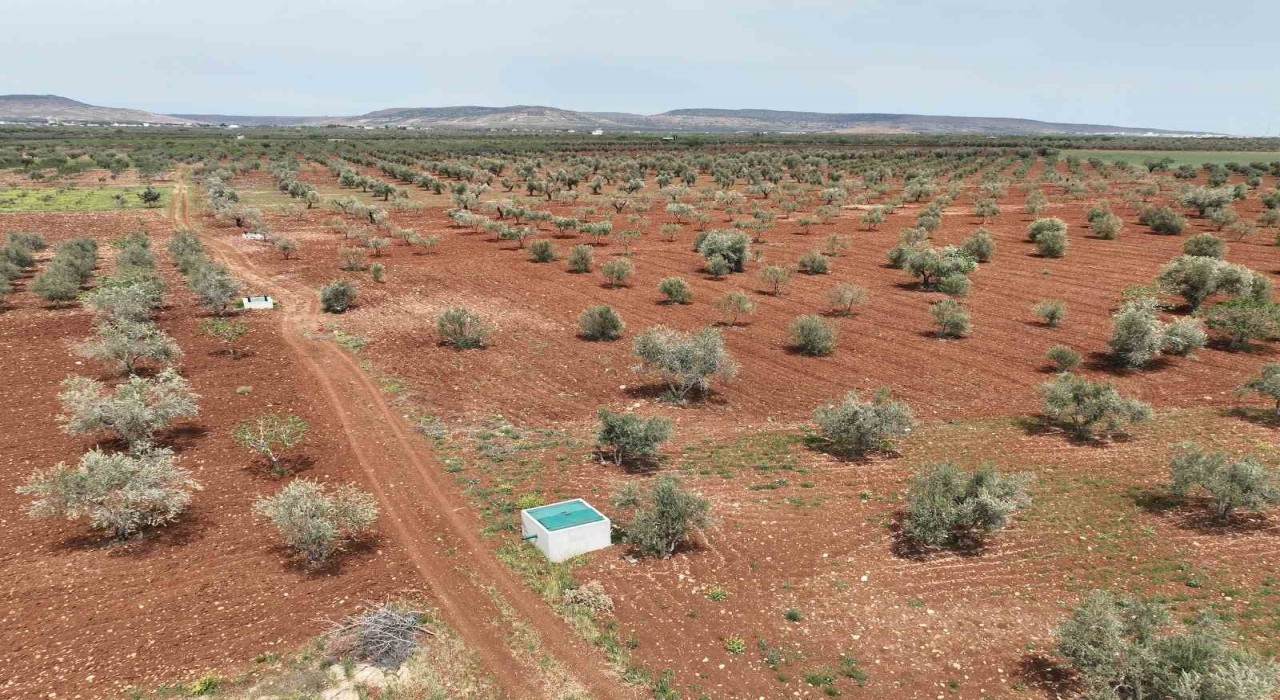 Kiliste atık sular can suyuna dönüşüyor
