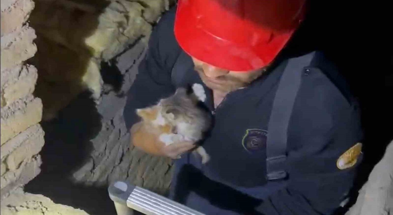 Kırıkkalede havalandırma boşluğuna düşen yavru kediler kurtarıldı