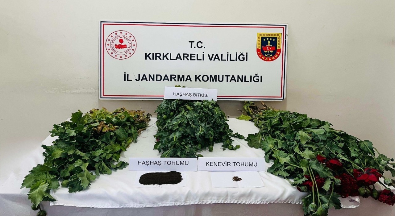 Kırklarelinde uyuşturucu operasyonu: 8 gözaltı