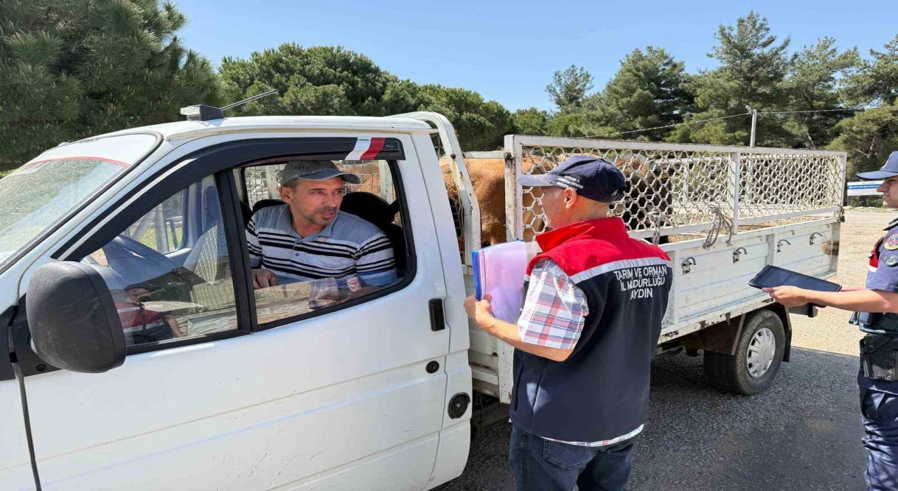 Koçarlıda canlı hayvan nakil araçları denetlendi