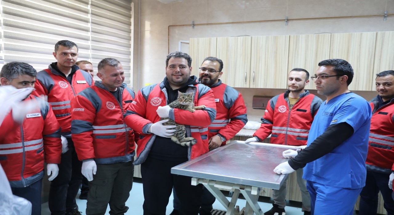 Kocasinan Belediyesinden veterinerlik personeline sertifikalı eğitim
