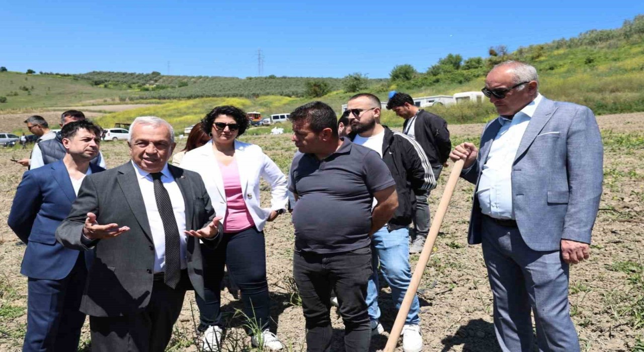 Konaklıda 800 zeytin fidanı toprakla buluştu