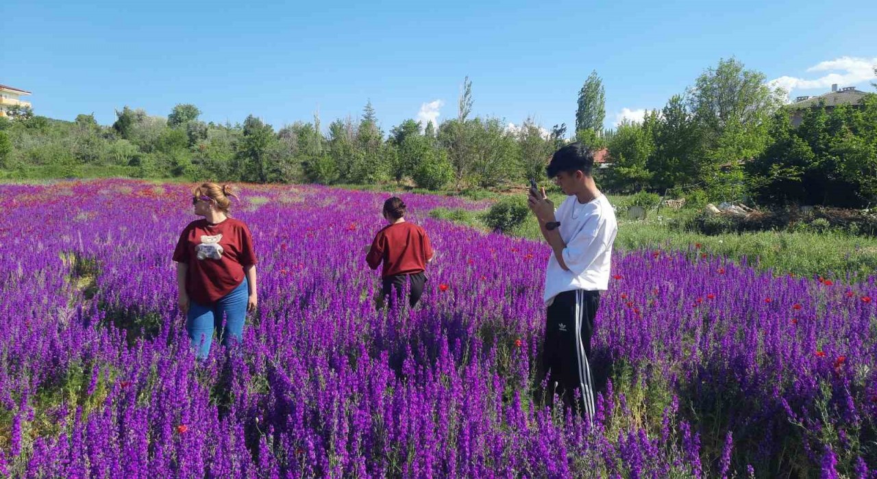 Konya Bozkırda renk cümbüşü