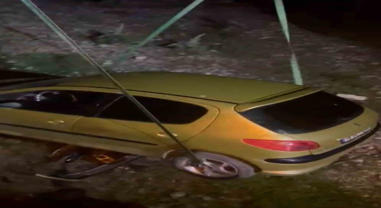 Köpeğe çarpmamak için manevra yaptı, şarampolden uçtu