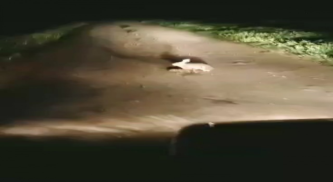 Korkmadı, kaçmadı... Ana yüreği korku tanımaz