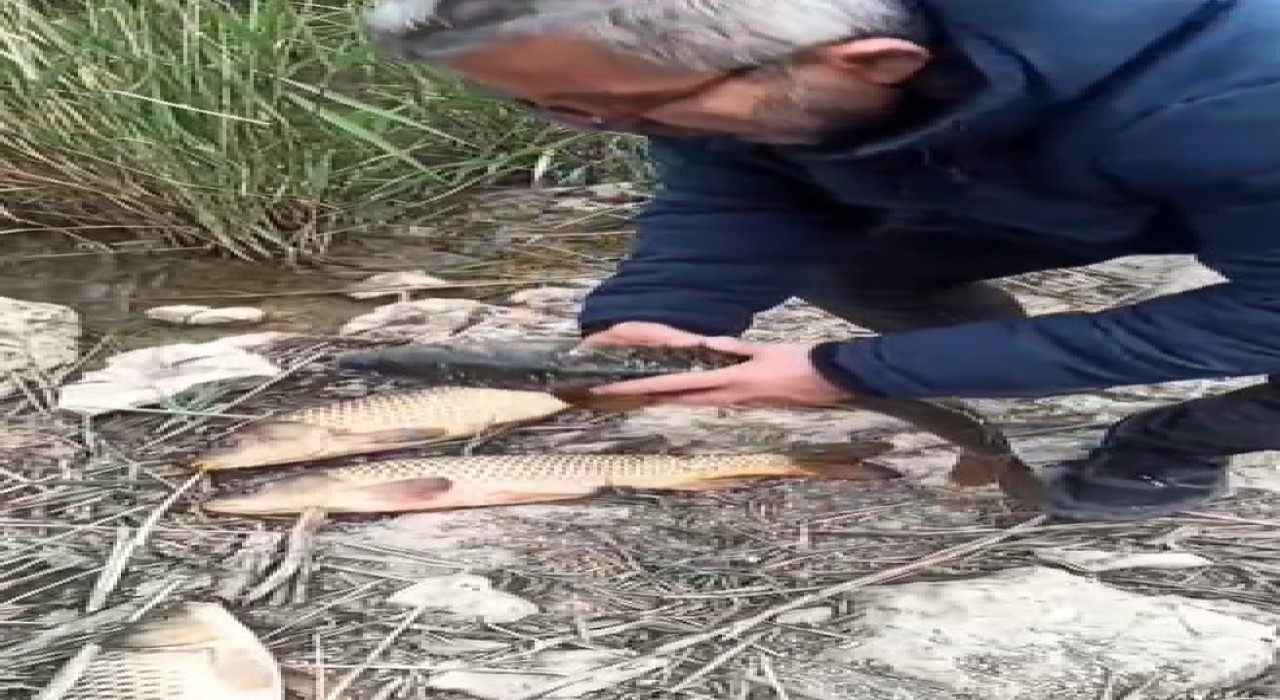 Kovada Gölünde kaçak avcılara 176 bin TL ceza uygulandı, ekipmanlara el konuldu