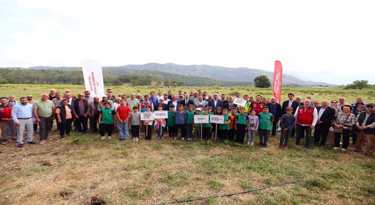 Köyceğiz Döğüşbelende 400 dekar meralık alan açıldı