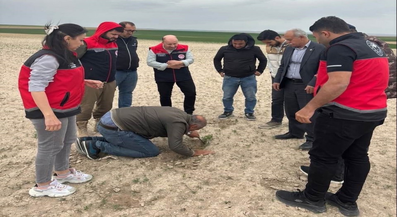 Kuluda tarım alanlarında kontroller devam ediyor