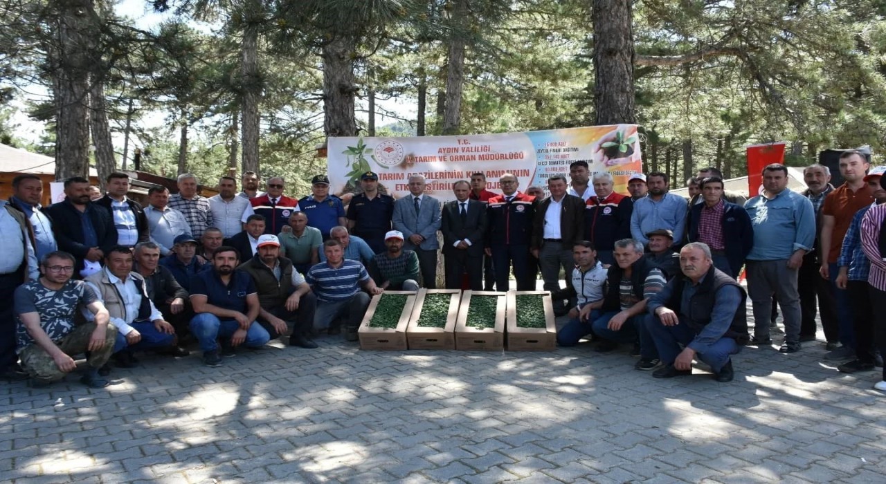 Kuyucakta 220 bin domates fidesi dağıtıldı