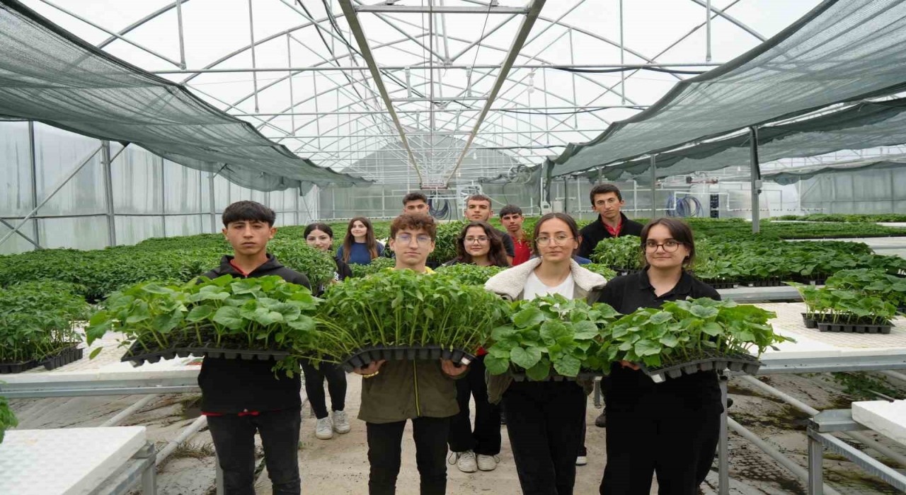 Lise öğrencileri 1 milyon fide üretimi hedefliyor