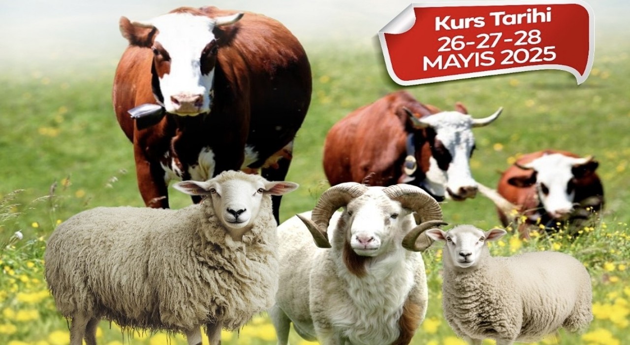 Malatya Büyükşehir Belediyesinden kurban kesim kursu