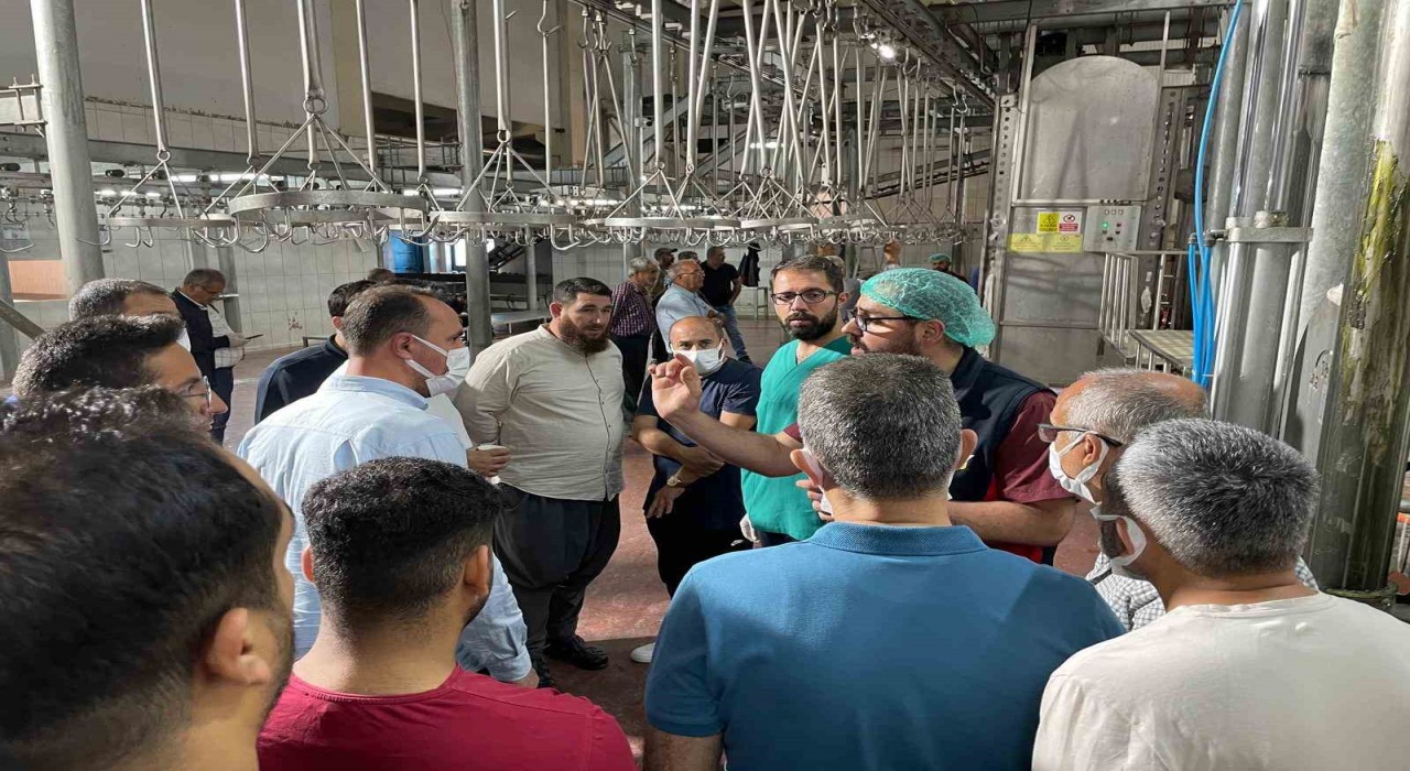 Malatya Büyükşehir Belediyesinden vatandaşlara ‘sertifikalı kurban kesim elemanı eğitimi