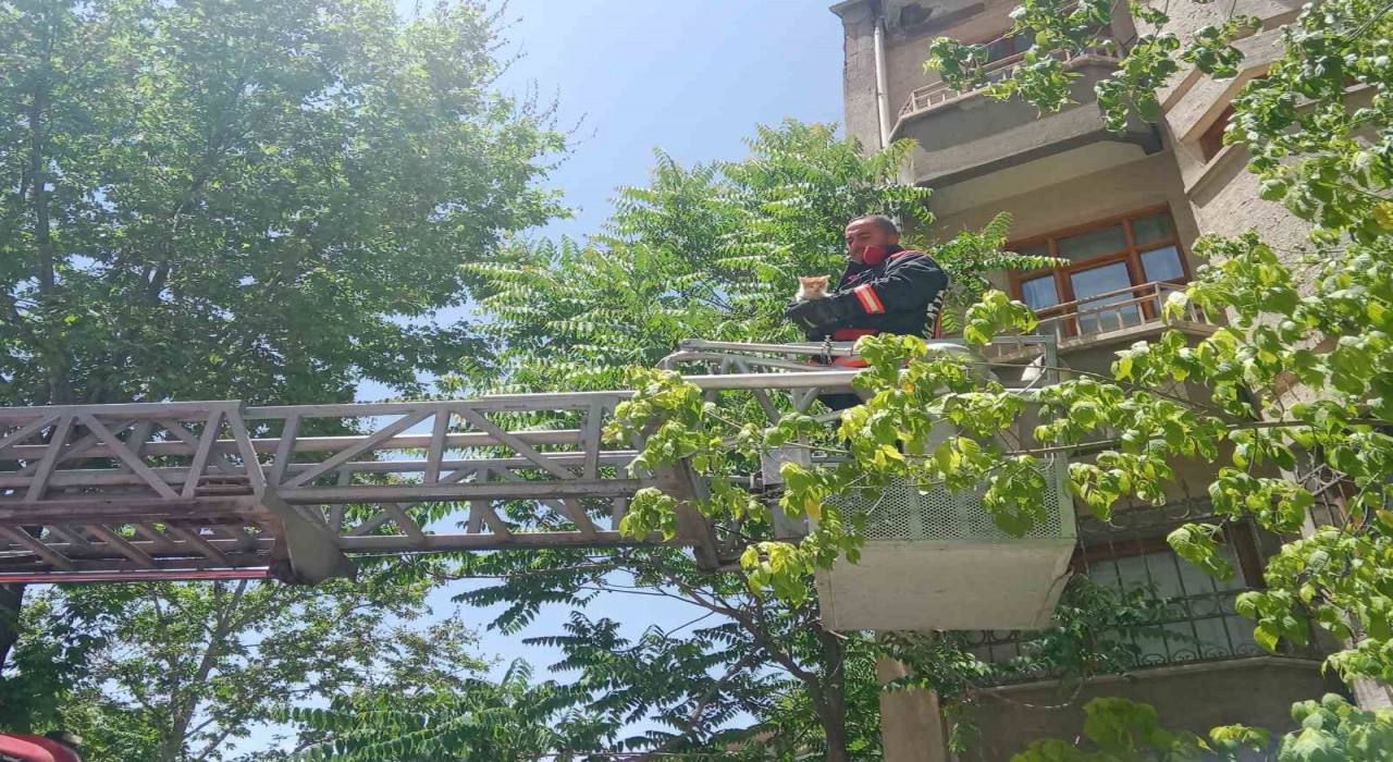 Malatyada metruk evin penceresine sıkışan kedi itfaiye tarafından kurtarıldı
