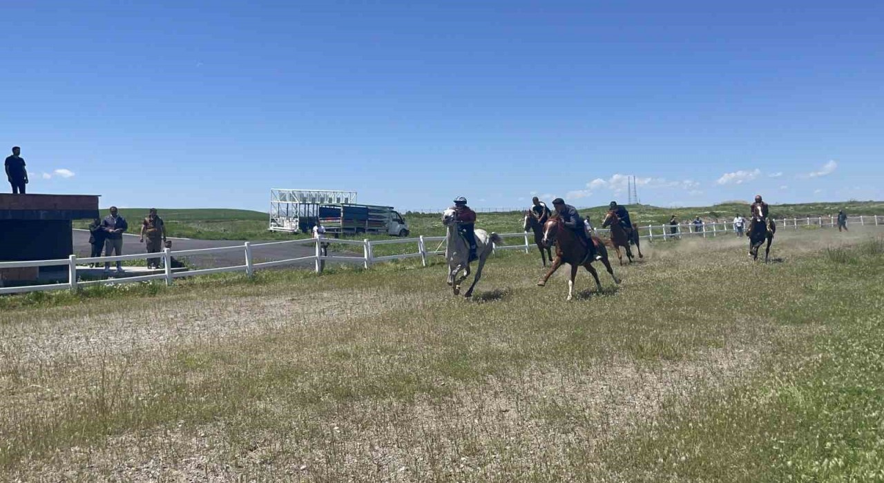 Malazgirtte geleneksel at yarışması