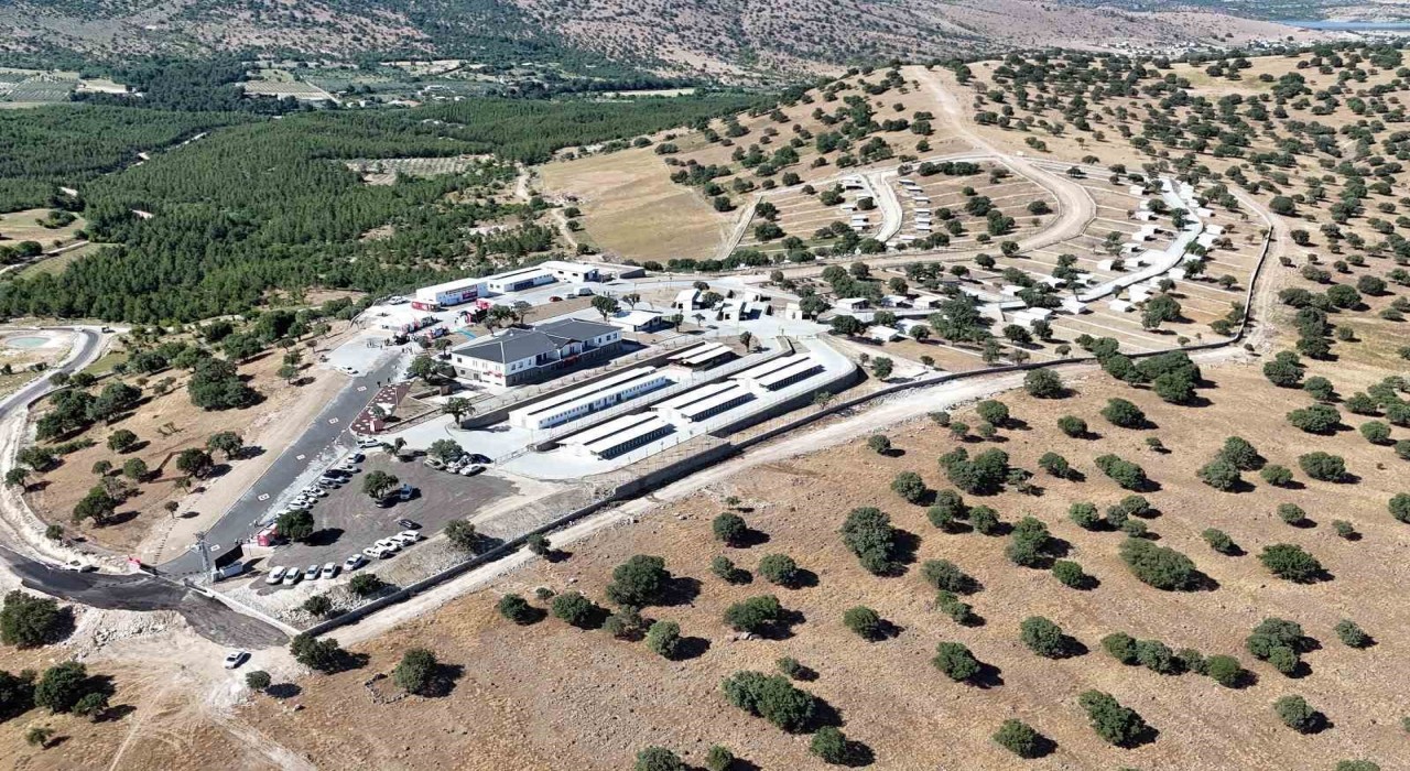 Manisada sokak hayvanları için örnek proje hayata geçti