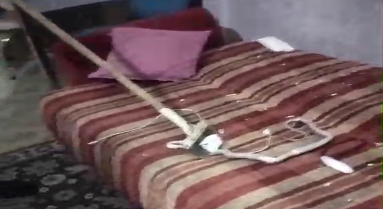 Mardinde evde yakalanan yılan doğaya salındı