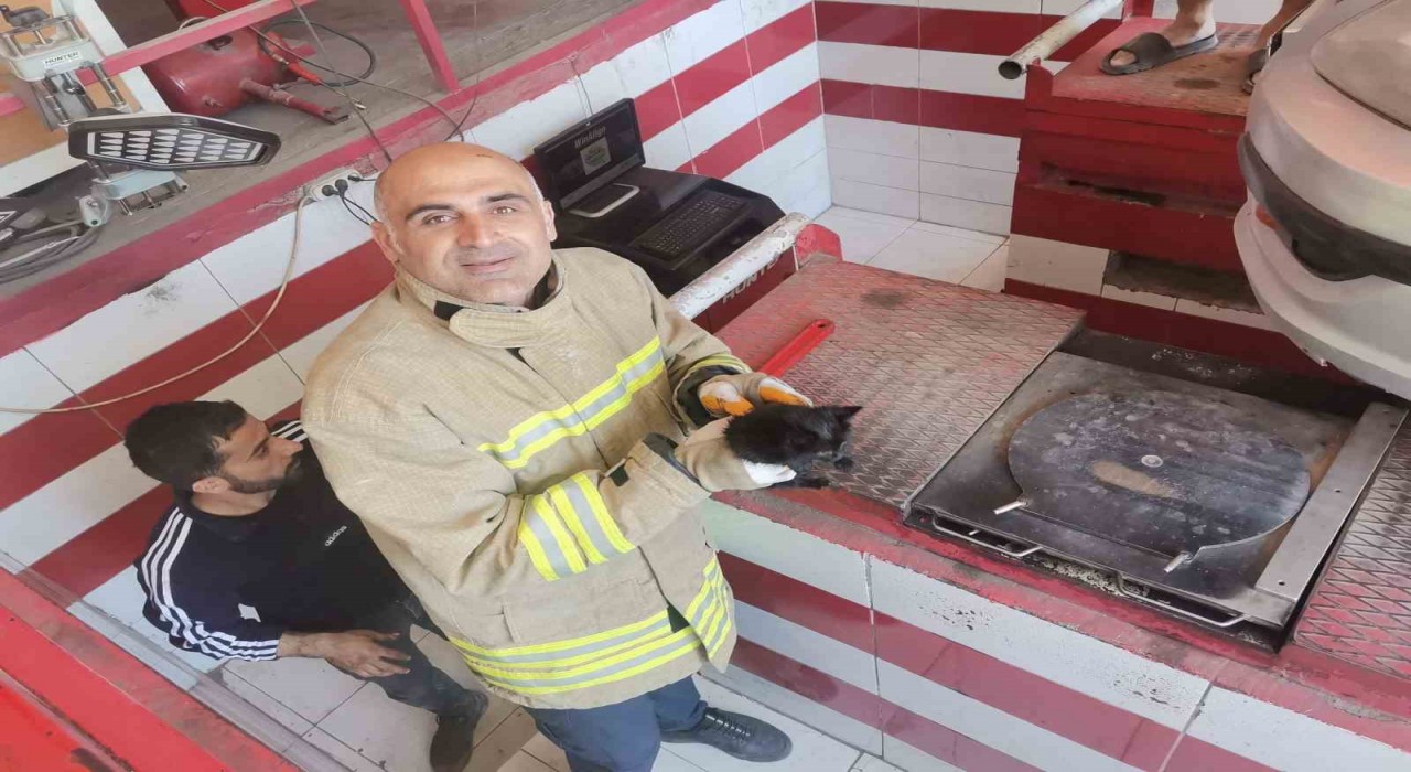 Mardinde otomobilin motor bölümüne sıkışan yavru kedi kurtarıldı