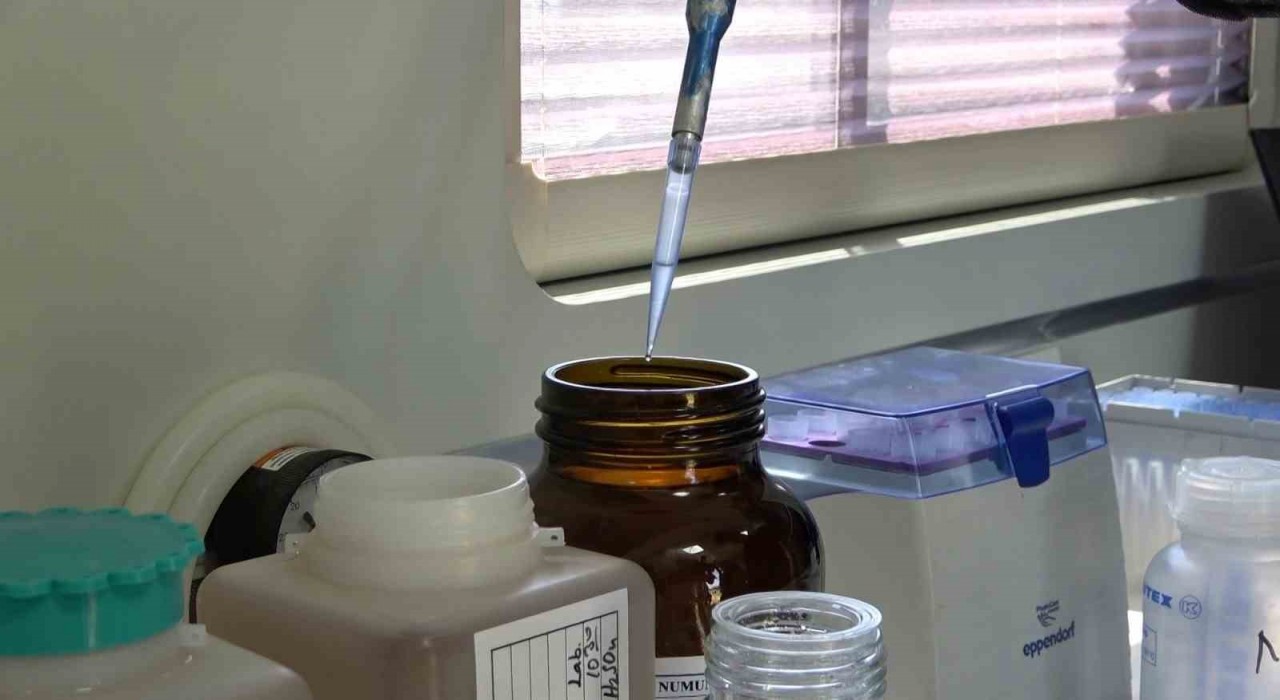 Marmara Denizi için kritik uyarı: Bursada 376 sanayi tesisi denetim altında