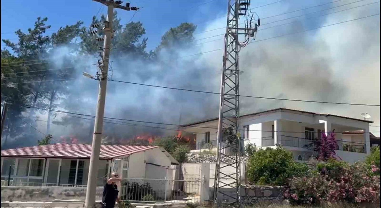 Marmariste orman yangını