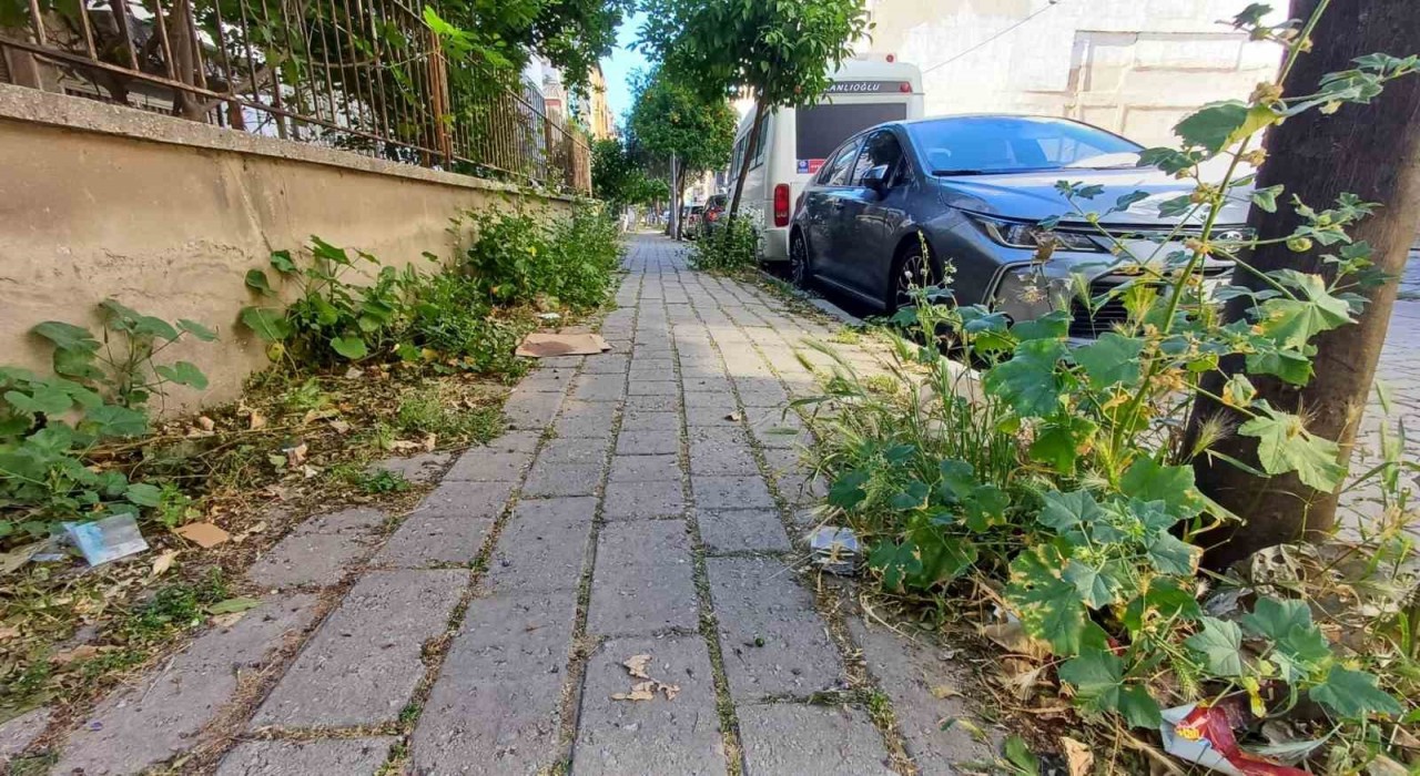 Mera değil Efelerin merkez mahallesi