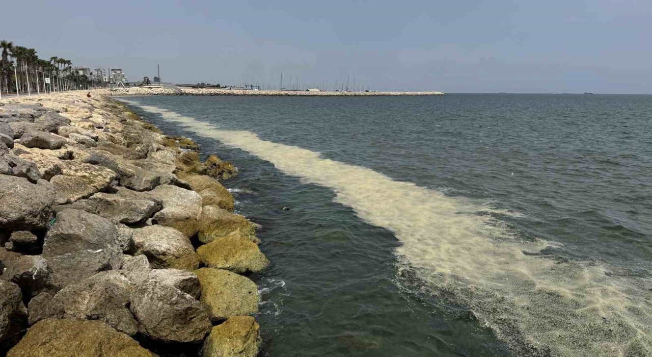 Mersin Körfezinde alg patlaması ve müsilaj kalıntıları