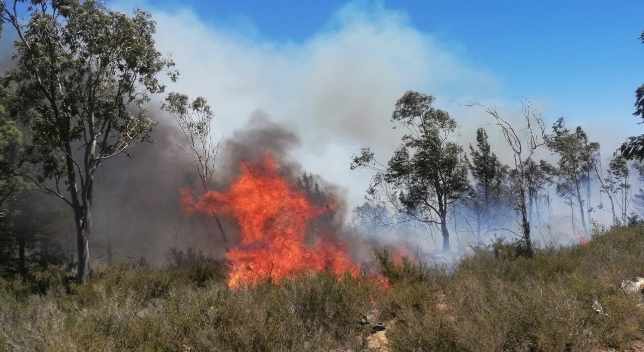 Mersinde çıkan yangınlarda 14 dönüm alan zarar gördü