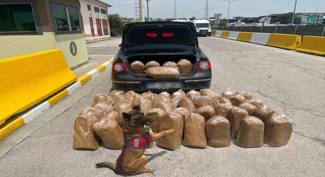 Mersinde kaçak tütün ve makaron operasyonu: 4 gözaltı