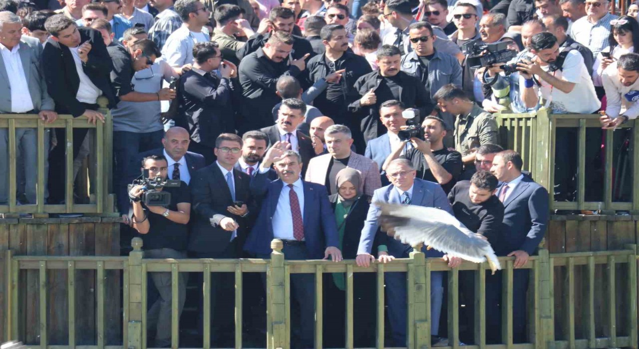 Milli Eğitim Bakanı Tekin, inci kefali göçünü izledi