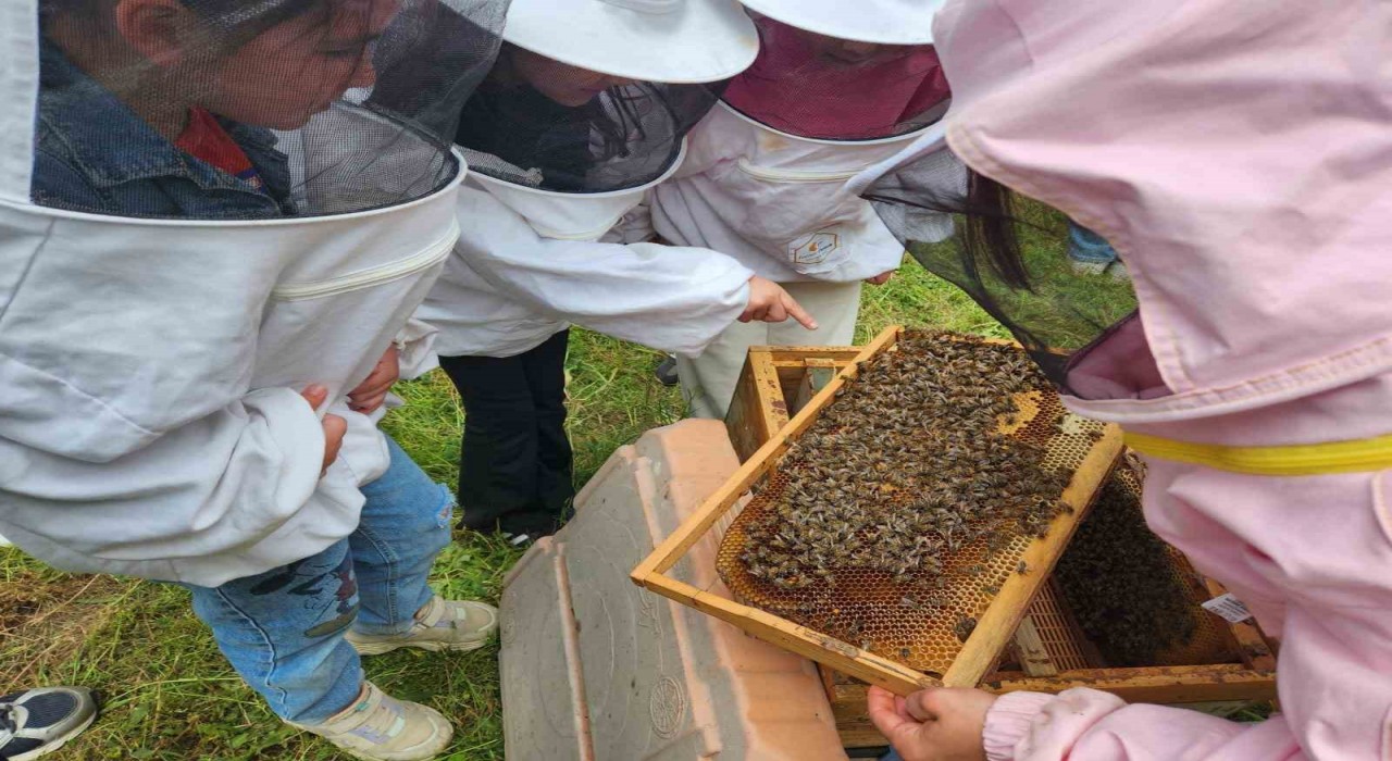 Minik öğrenciler arıların dünyasını keşfetti