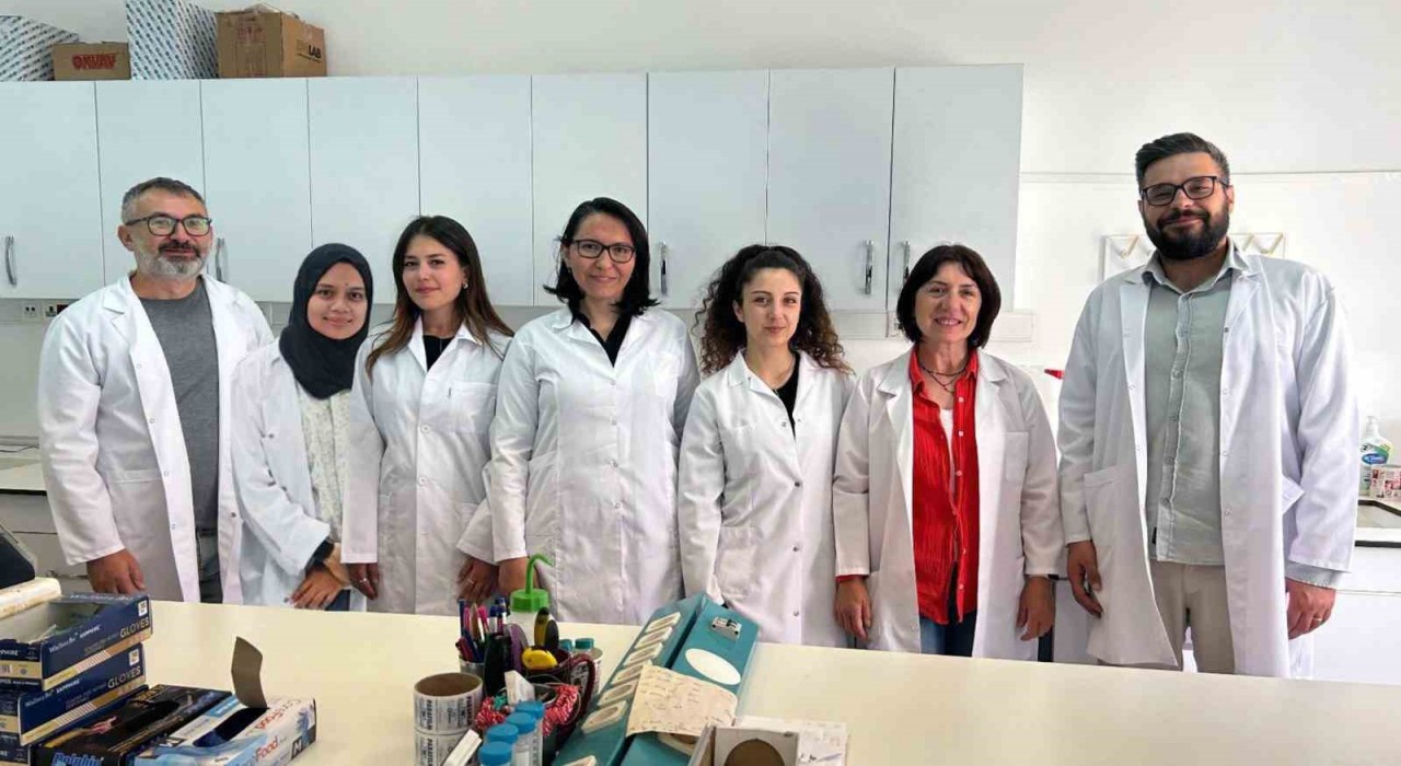 MSKÜden bilimsel başarı: ACS Omega kapağında yer aldı