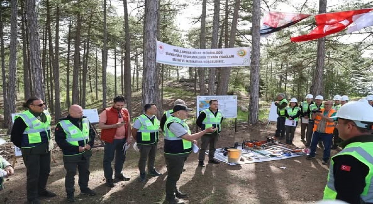 Muğla Orman Bölge Müdürlüğünde silvikültür tatbikatları tamamlandı