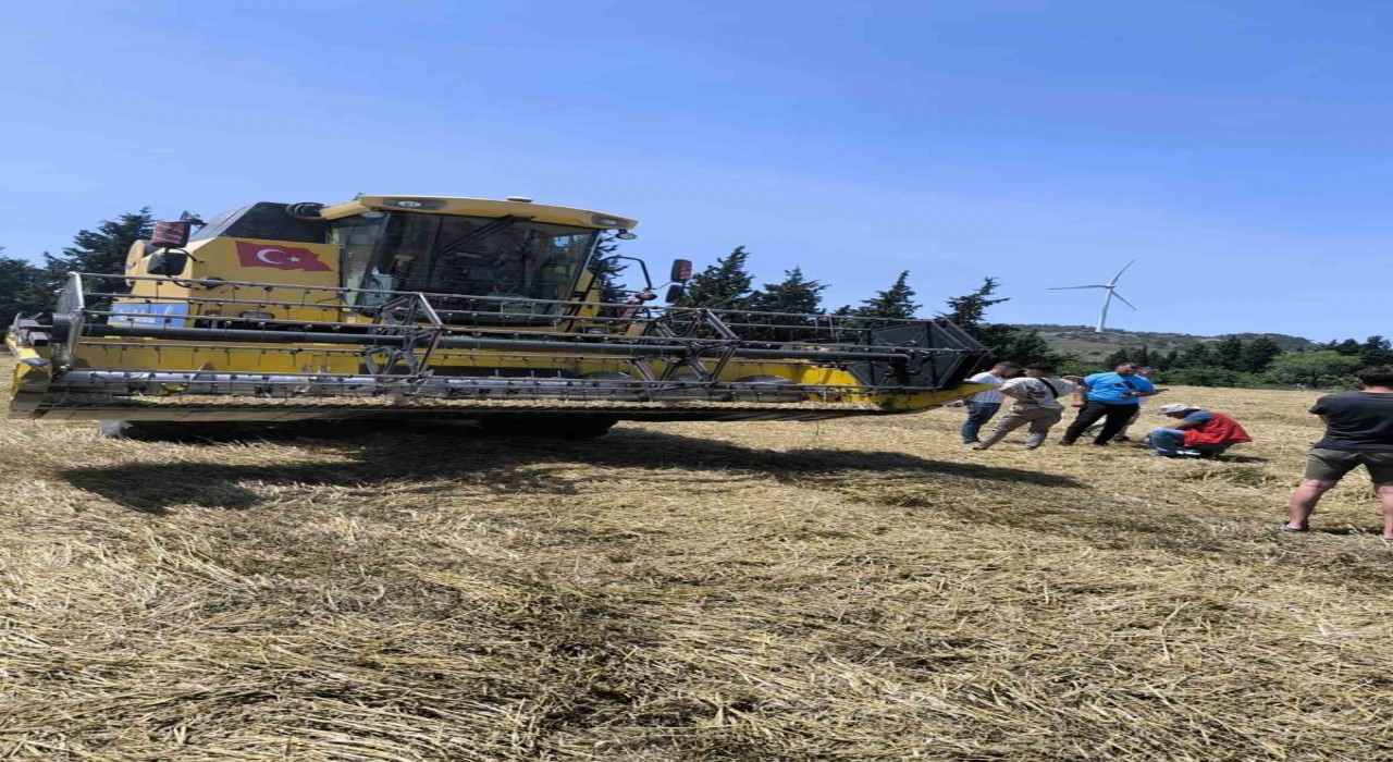 Muğlada Biçerdöverle hububat hasadı başladı