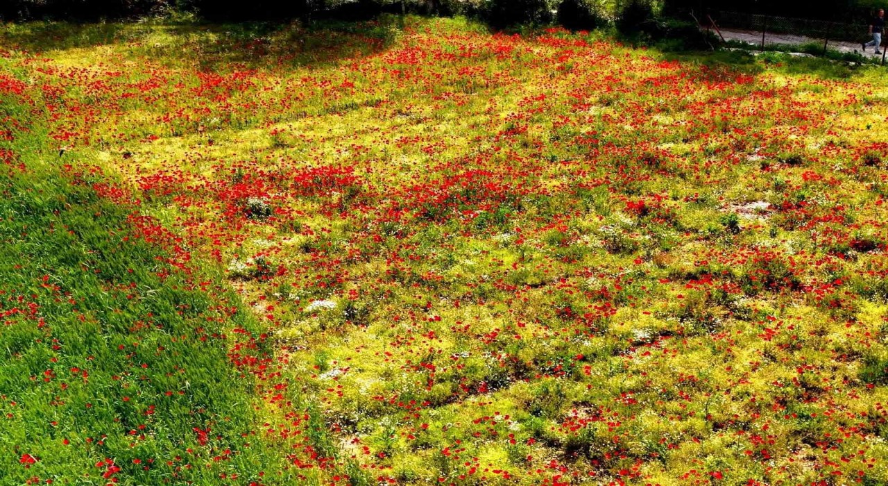Muğlanın sessiz güzelliği