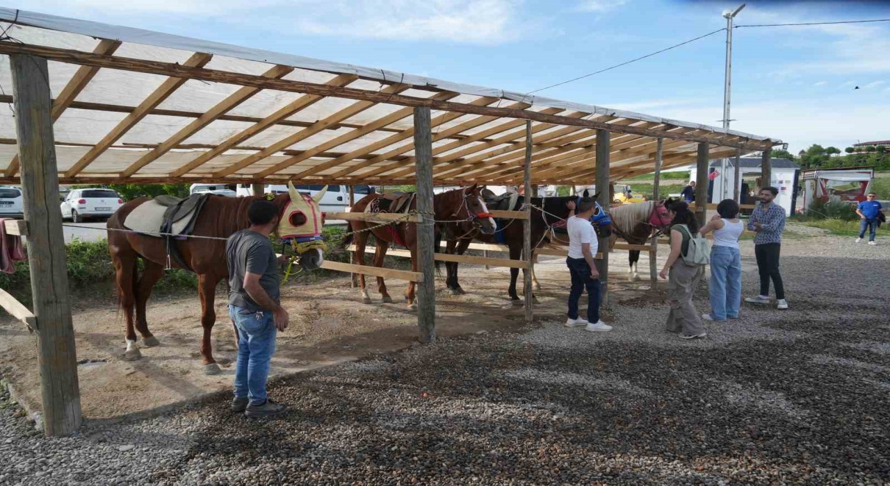 Muşta atlı binicilik kulübü, ata sporunu gelecek nesillere aktarıyor