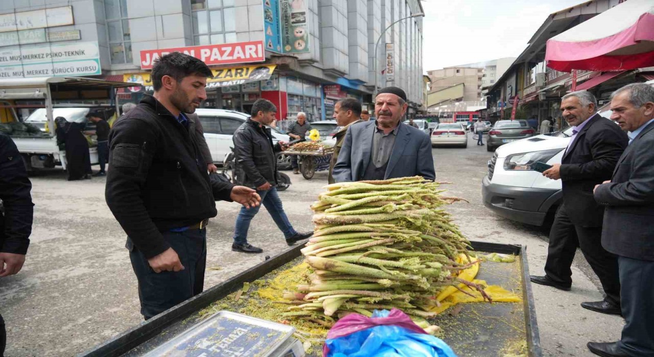 Muşta yayla muzu tezgahlarda yerini aldı