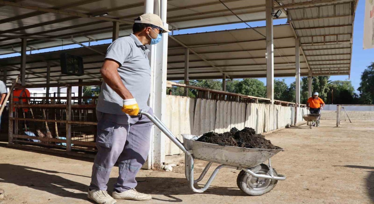 Nazilli Belediyesinden hayvan pazarında temizlik seferberliği