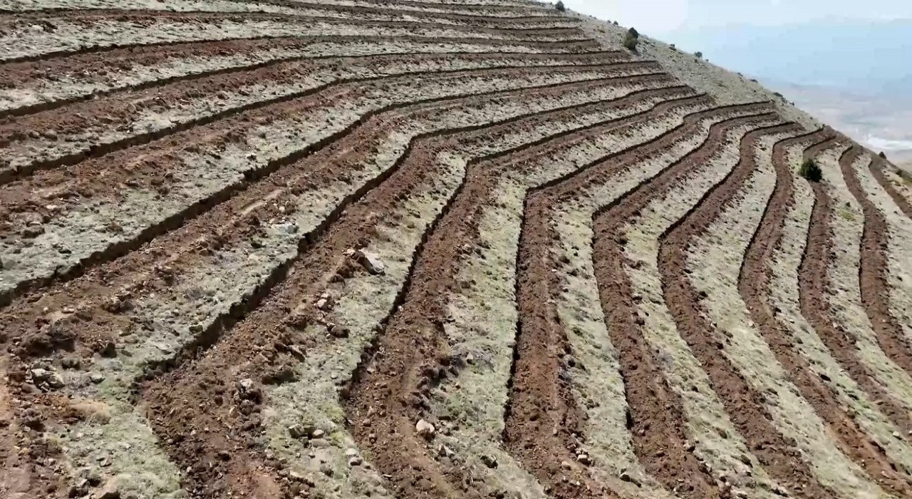 Niğdenin Himmetli Köyünde 100 hektarlık alanda ağaçlandırma yapılacak