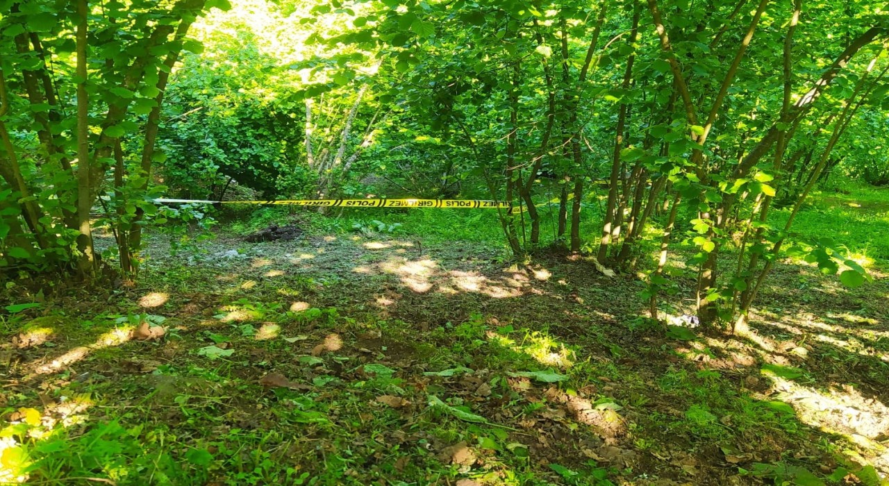 Orduda yaşlı adam, fındık bahçesinde ölü bulundu