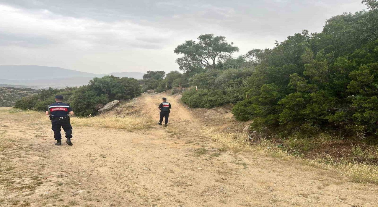 Orman yangınlarına karşı denetimler sıklaştırıldı