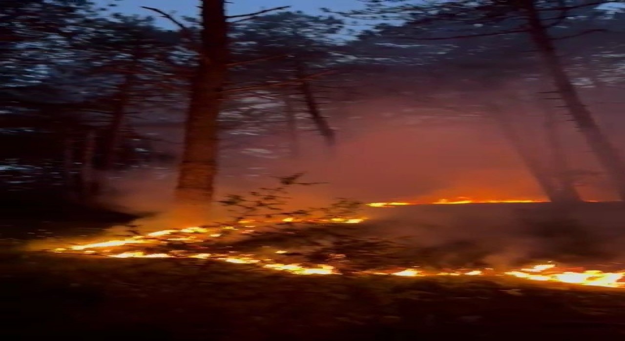 Ormanlık alana düşen yıldırım yangına neden oldu