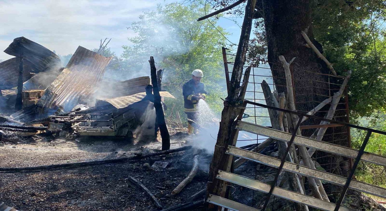 Osmaniyede ahşap ev yangında kül oldu