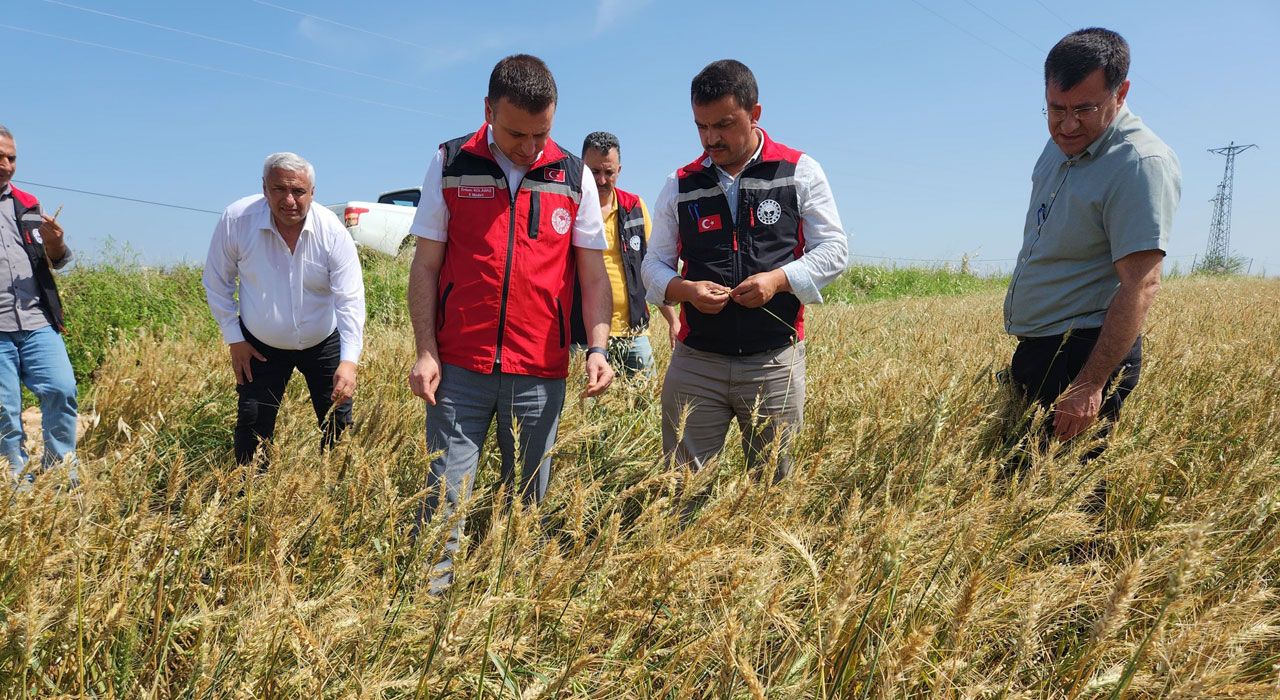 Osmaniye’de Dolu ve Sel Felaketi Tarım Arazilerini Vurdu