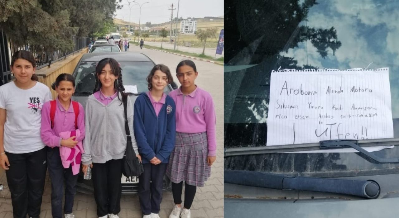 Osmaniye'de Ortaokul Öğrencilerinden Örnek Davranış: Araç Altındaki Kediyi El Yazısıyla Uyardılar