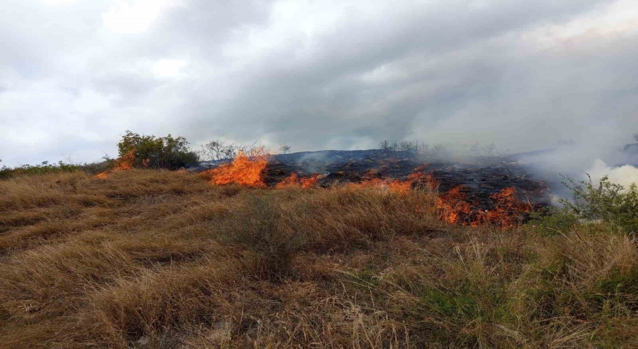 Otluk alanda çıkan yangın ormana sıçramadan söndürüldü