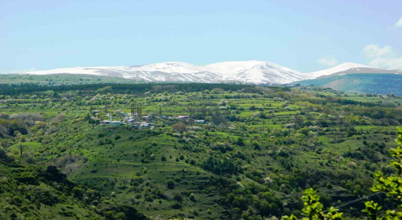 Posofta baharla gelen güzellikler