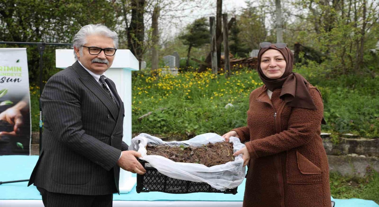 Samsunda üreticilere 150 bin çilek fidesi desteği