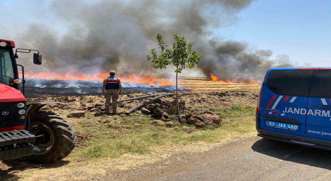 Şanlıurfada anız yakanlara para cezası ve adli işlem uygulanacak