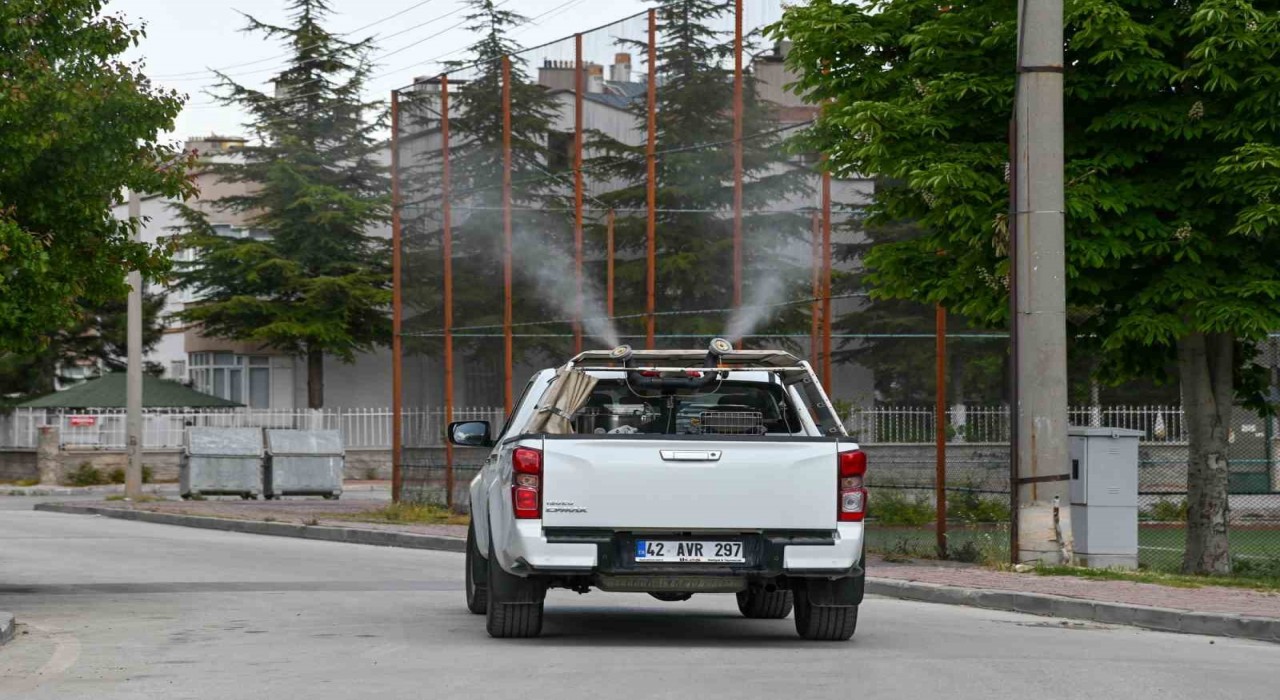 Selçukluda ilaçlama çalışmalar başladı