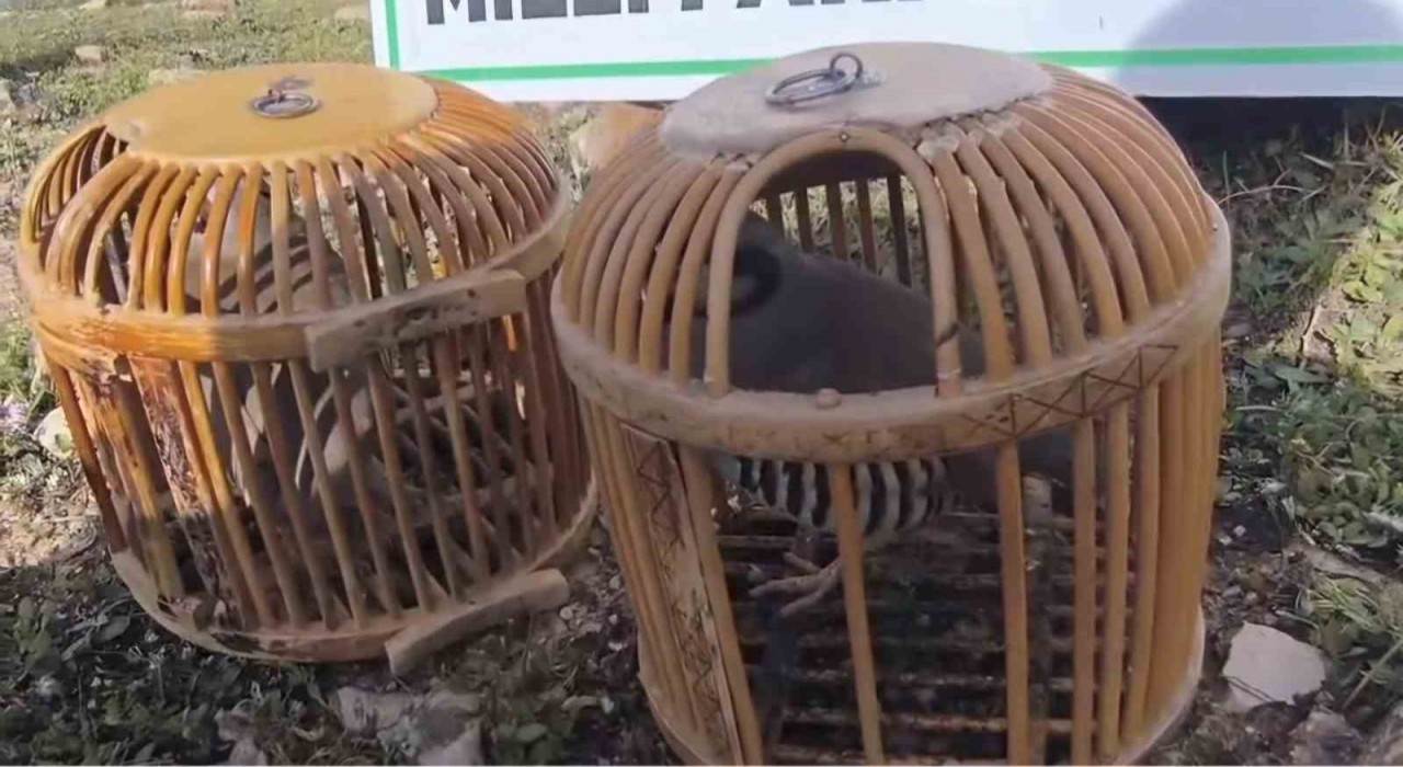 Siirtte keklik avlayan kişiye 63 bin lira ceza kesildi