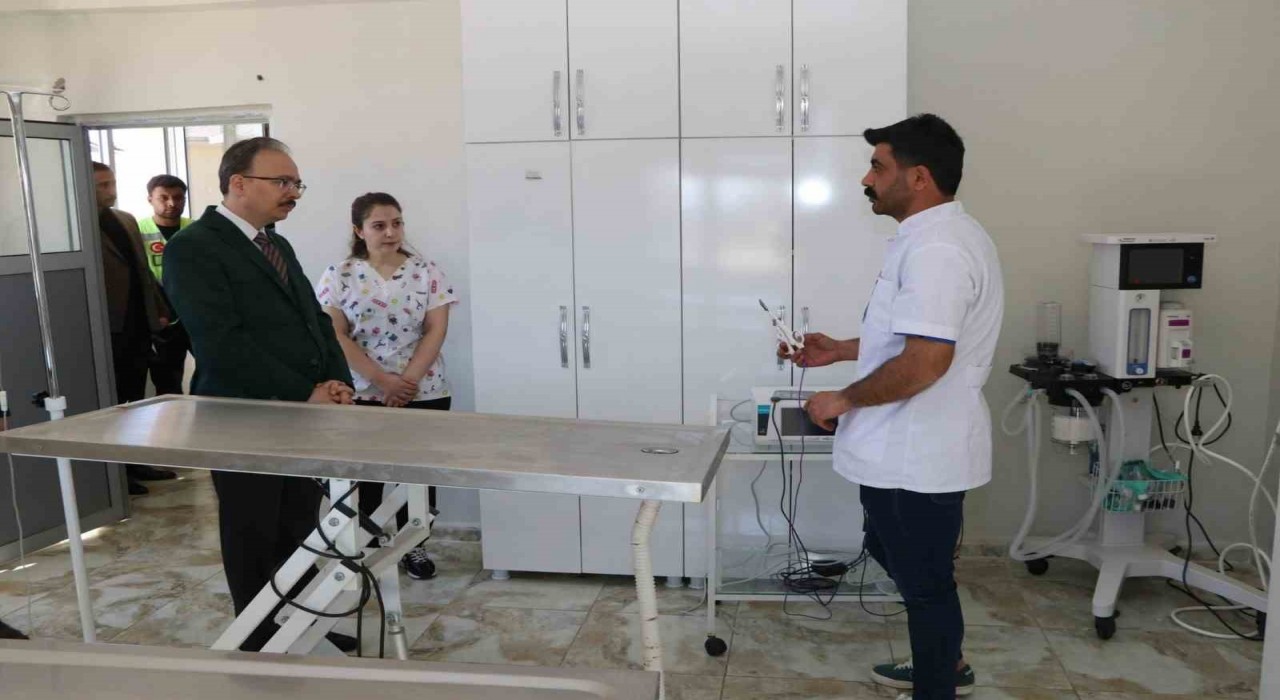 Siirtte sahipsiz hayvanlar bu merkezde güvenli şekilde yaşamlarını sürdürüyor